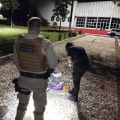 Foto: Polícia Militar