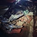 Fotos: Corpo de Bombeiros/PMRv