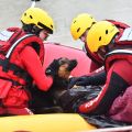 Foto: Corpo de Bombeiros