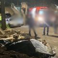 Foto: Polícia Científica/ND