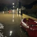 Fotos: Divulgação