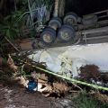 Fotos: Corpo de Bombeiros