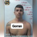 Foto: Polícia Militar