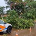 Fotos: Defesa Civil/Prefeitura de Chapecó