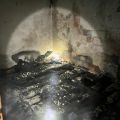 Fotos: Corpo de Bombeiros