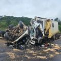 Fotos: Corpo de Bombeiros