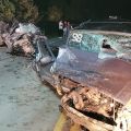 Fotos: Corpo de Bombeiros