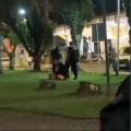 Foto: Imagens cedidas