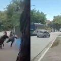  Foto: Reprodução/ Portal Jaraguá 
