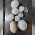 Foto: Prefeitura de Canoinhas/ Divulgação