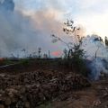 Incêndio atingiu área de mata na tarde desta segunda-feira (Foto: Corpo de Bombeiros)