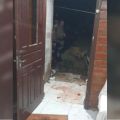 Foto: Polícia Militar