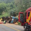 Fotos: Corpo de Bombeiros