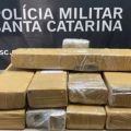 Foto: Polícia Militar