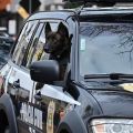 Foto: Divulgação/Polícia Civil