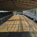 Foto: Prefeitura Municipal
