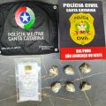 Foto: Divulgação/Polícia Civil