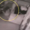  Foto: Reprodução/NDTV Record