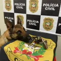 Foto: Divulgação/Polícia Civil