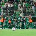 Foto: Rafael Bressan/ACF/ND