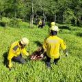Foto: Corpo de Bombeiros