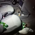 Foto: Polícia Militar
