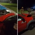  Foto: Imagens cedidas/São Marcos Online
