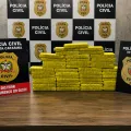 Foto: Divulgação/Polícia Civil