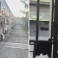 Foto: Imagens cedidas/ Gabriela Pereira