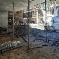 Fotos: Corpo de Bombeiros