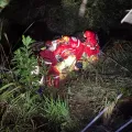 Foto: Notícias Coronel
