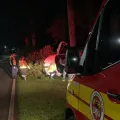 Foto: Corpo de Bombeiros