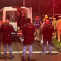 Foto: Guarda Municipal de São José dos Pinhais