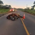 Foto: Corpo de Bombeiros)