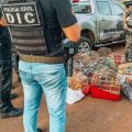 Foto: Polícia Civil/Divulgação