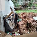 Foto: Defesa Civil/Divulgação