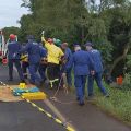 Foto: Corpo de Bombeiros