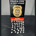 Foto: Divulgação/Polícia Civil