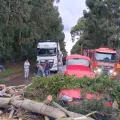 Foto: Corpo de Bombeiros
